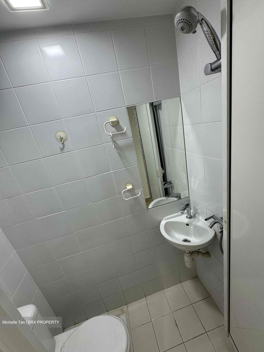 A Treasure Trove (D19), Condominium #439016641